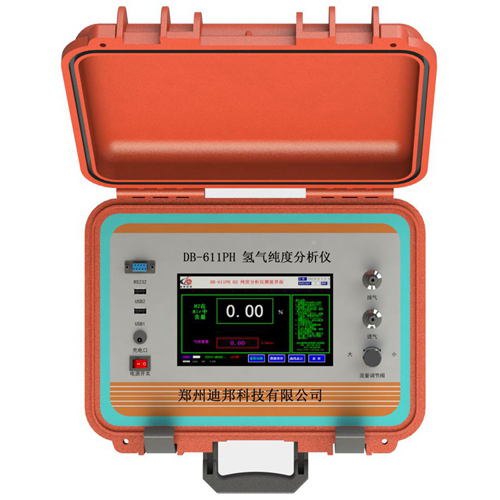 DB-611PH氫氣純度分析儀 DB-611PH氫氣純度分析儀